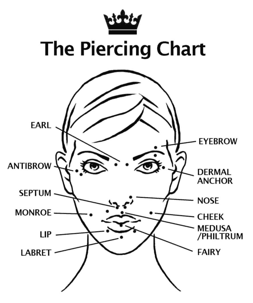 Face Piercing Diagram